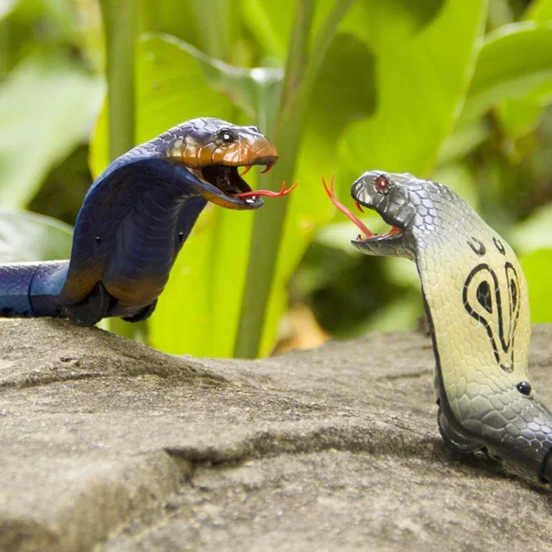 RC Snake Realistic Snake Toys  - Ir Infrared Receiver のレビューと価格